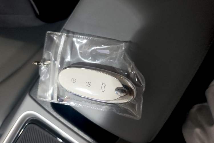 Used Dongfeng NAMMI 01 2024 430 Max Smart+ Vehicle Key