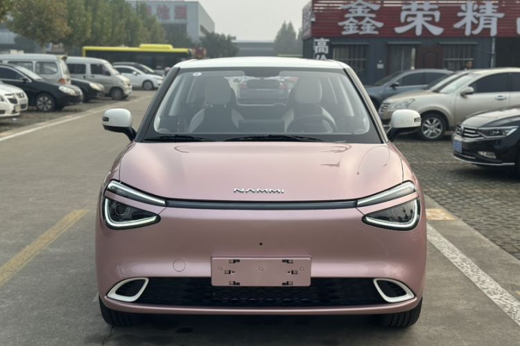 Used Dongfeng NAMMI 01 2024 New Edition 330 Plus Smart+ Exterior 1