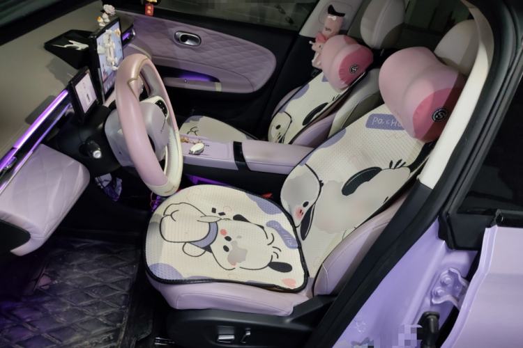 Used Dongfeng NAMMI 01 2024 330 Plus Smart+ Left Front Seat