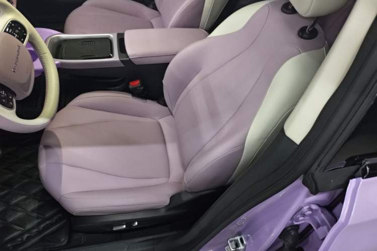 Used Dongfeng NAMMI 01 2024 New Edition 330 Plus Smart+ Left Front Seat