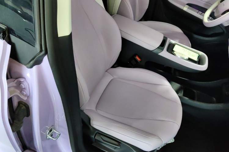 Used Dongfeng NAMMI 01 2024 New Edition 330 Plus Smart+ Right Front Seat