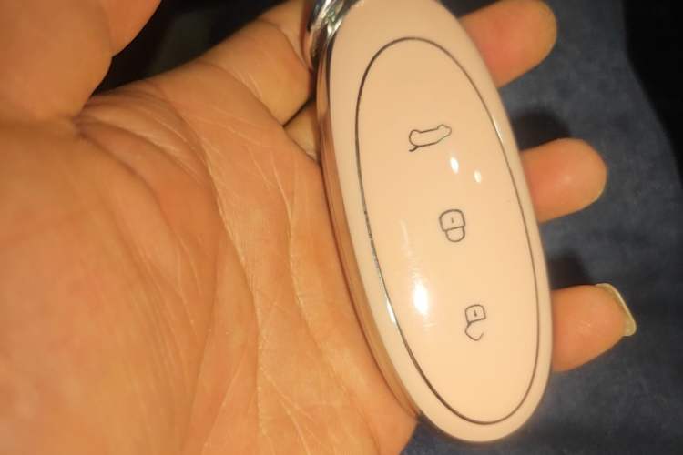 Used Dongfeng NAMMI 01 2024 New Edition 430 Plus Smart+ Vehicle Key