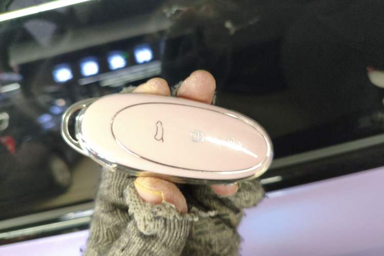 Used Dongfeng NAMMI 01 2024 430 Max Smart+ Vehicle Key