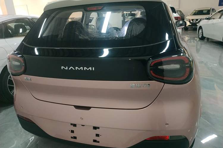 Used Dongfeng NAMMI 01 2024 New Edition 330 Air Rear