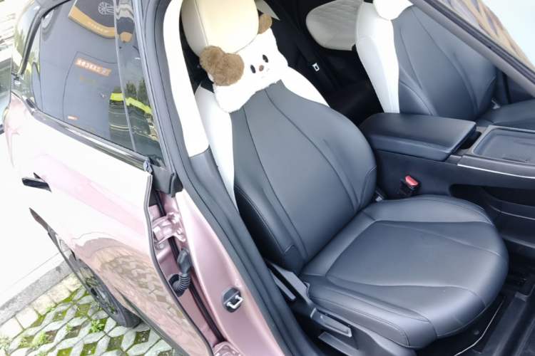 Used Dongfeng NAMMI 01 2024 New Edition 330 Plus Smart+ Right Front Seat