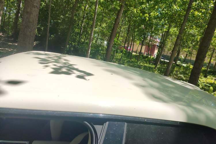 Used Dongfeng NAMMI 01 2024 New Edition 330 Air Roof