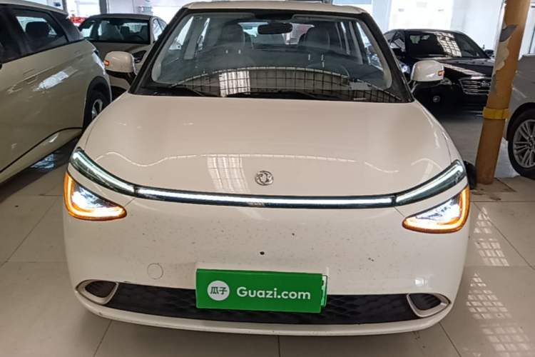 Used Dongfeng NAMMI 01 2024 430 Plus Front