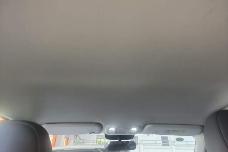 Used Dongfeng NAMMI 01 2024 330 Plus Headliner