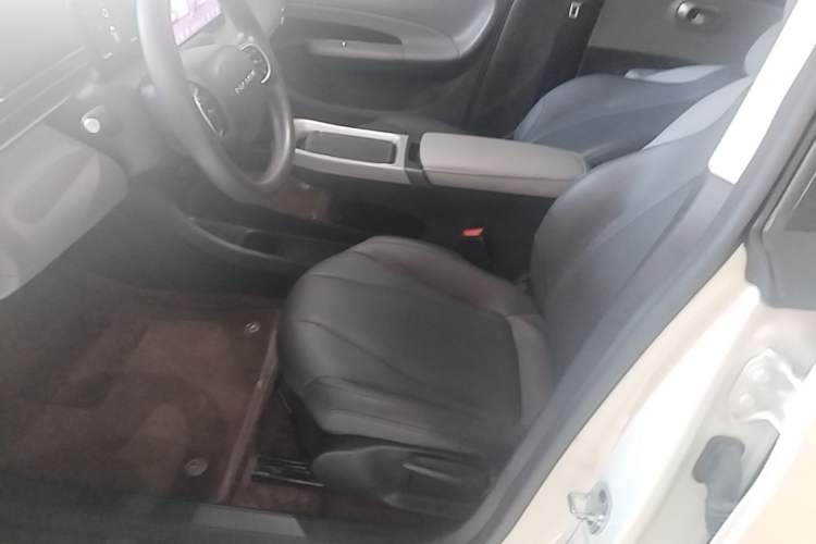 Used Dongfeng NAMMI 01 2024 New Edition 330 Air Left Front Seat