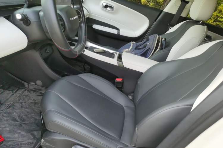 Used Dongfeng NAMMI 01 2024 New Edition 330 Air Left Front Seat