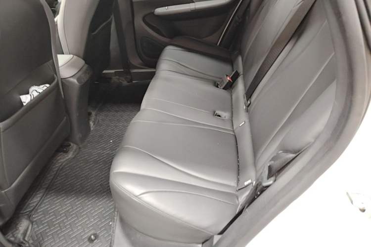 Used Dongfeng NAMMI 01 2024 330 Plus Left Rear Seat