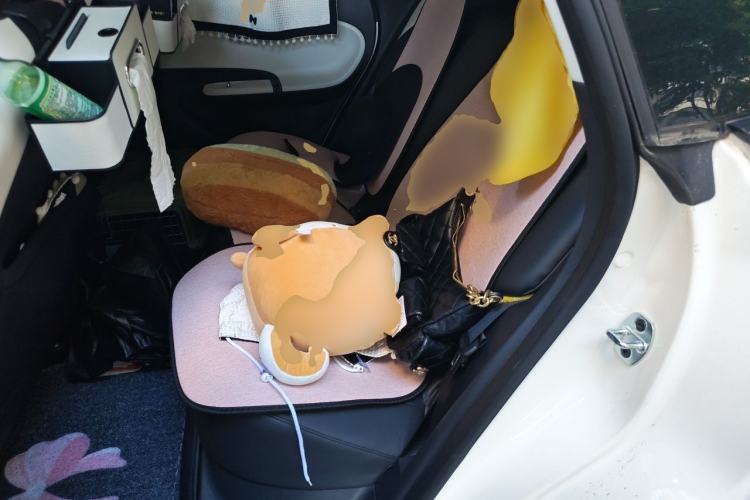 Used Dongfeng NAMMI 01 2024 New Edition 330 Air Left Rear Seat