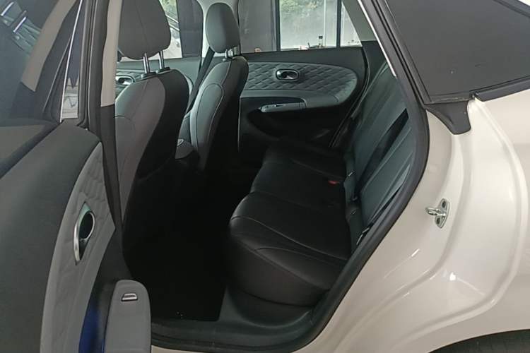 Used Dongfeng NAMMI 01 2024 330 Plus Left Rear Seat