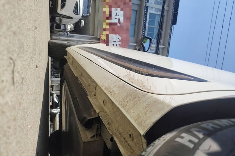Used Dongfeng NAMMI 01 2024 330 Air Left Side Sill