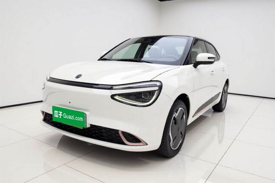 Dongfeng NAMMI 01 2024