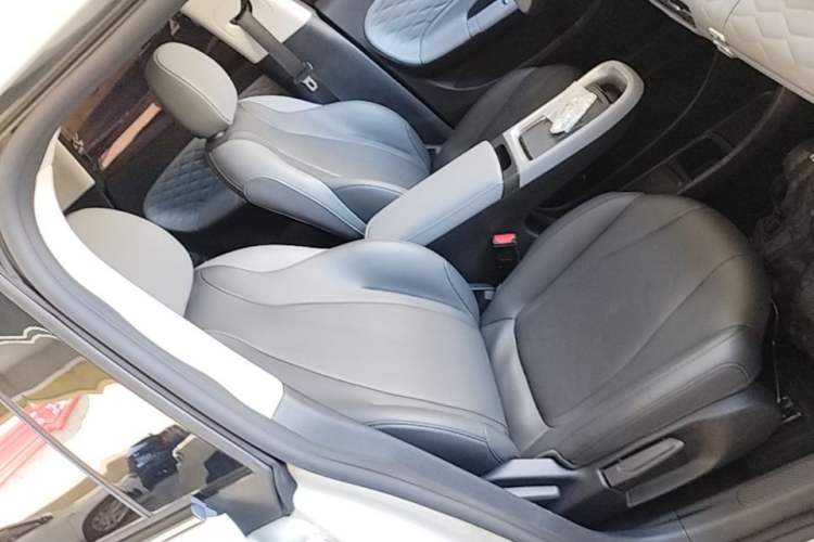 Used Dongfeng NAMMI 01 2024 New Edition 330 Plus Smart+ Right Front Seat