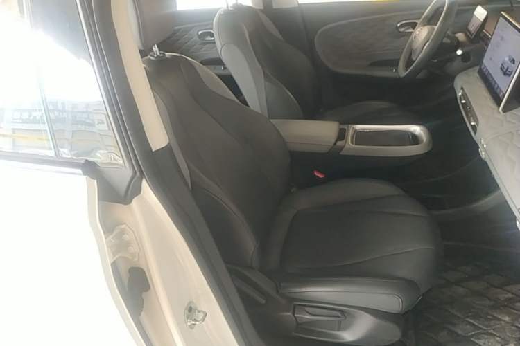 Used Dongfeng NAMMI 01 2024 New Edition 430 Plus Smart+ Right Front Seat