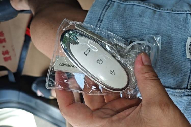 Used Dongfeng NAMMI 01 2024 New Edition 430 Plus Smart+ Vehicle Key