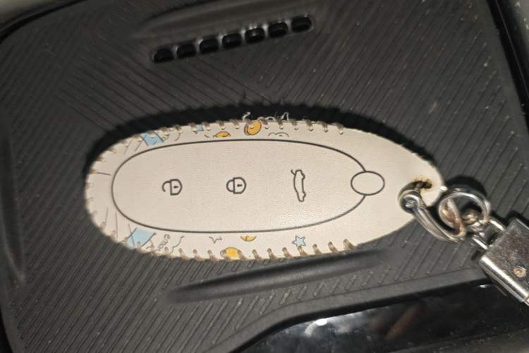 Used Dongfeng NAMMI 01 2024 430 Plus Smart+ Vehicle Key