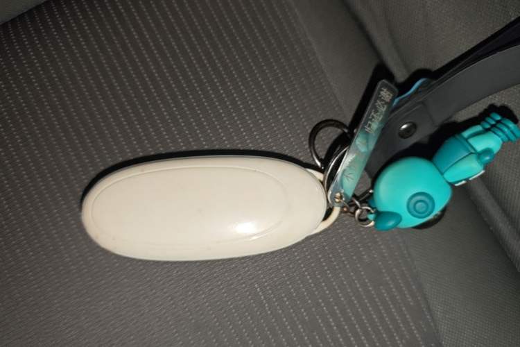 Used Dongfeng NAMMI 01 2024 330 Lite Vehicle Key