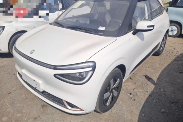 Used Dongfeng NAMMI 01 2025 330KM Youth Edition