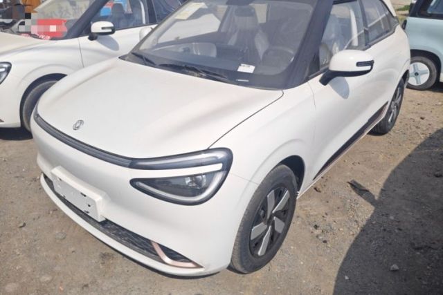 Used Dongfeng NAMMI 01 2025 330KM Youth Edition