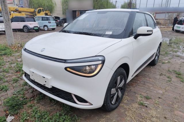 Used Dongfeng NAMMI 01 2025 330KM Youth Edition