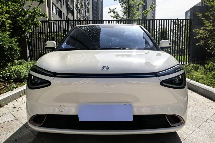 Used Dongfeng NAMMI 01 2025 330KM Youth Edition Exterior 1