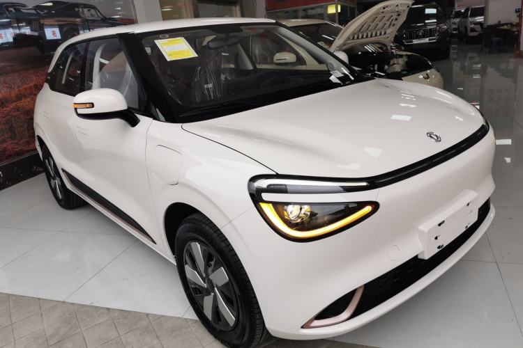 Used Dongfeng NAMMI 01 2025 330KM Youth Edition Exterior 2