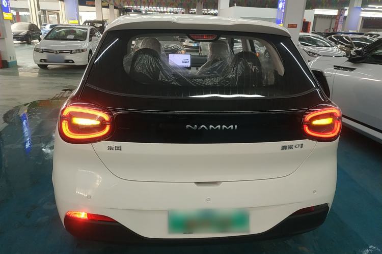 Used Dongfeng NAMMI 01 2025 330KM Youth Edition Exterior 4