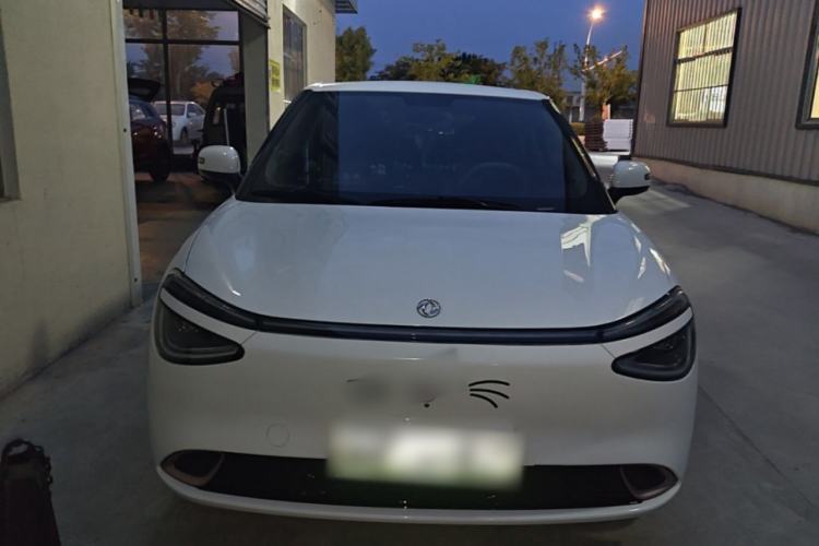 Used Dongfeng NAMMI 01 2025 Model 330 Driver Training Edition Front