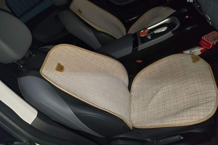 Used Dongfeng NAMMI 01 2025 Model 330 Driver Training Edition Right Front Seat