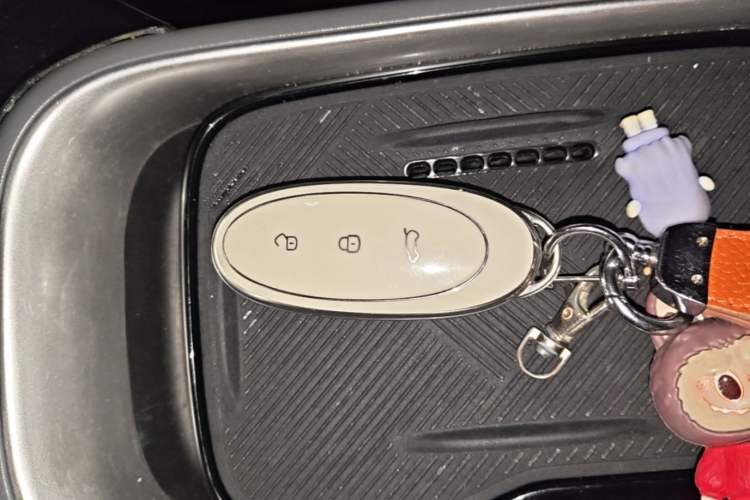 Used Dongfeng NAMMI 01 2025 Model 330 Driver Training Edition Vehicle Key