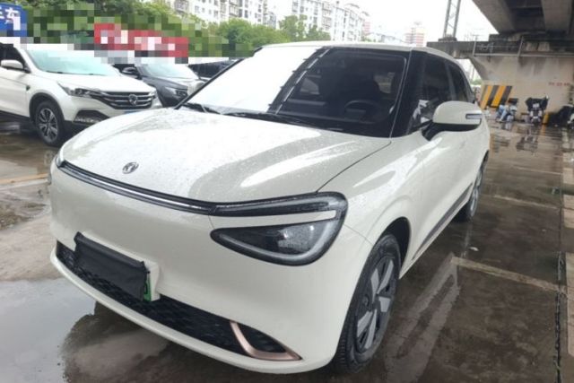 Used Dongfeng NAMMI 01 2025 330KM Youth Edition