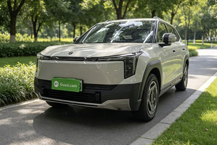 Dongfeng NAMMI 06 2025 401 Air