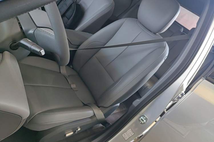Used Dongfeng NAMMI 06 2025 401 Pro Left Front Seat
