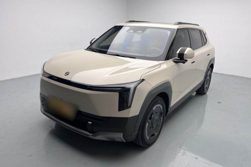 Dongfeng NAMMI 06 2025