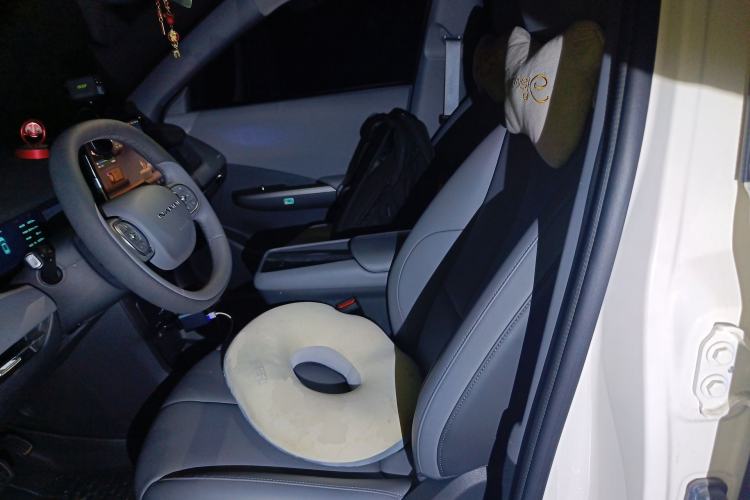 Used Dongfeng NAMMI 06 2025 471 Pro Left Front Seat