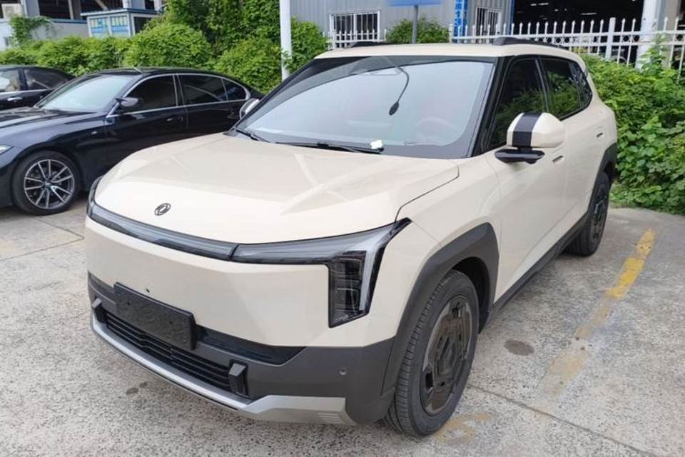 Dongfeng NAMMI 06 2025