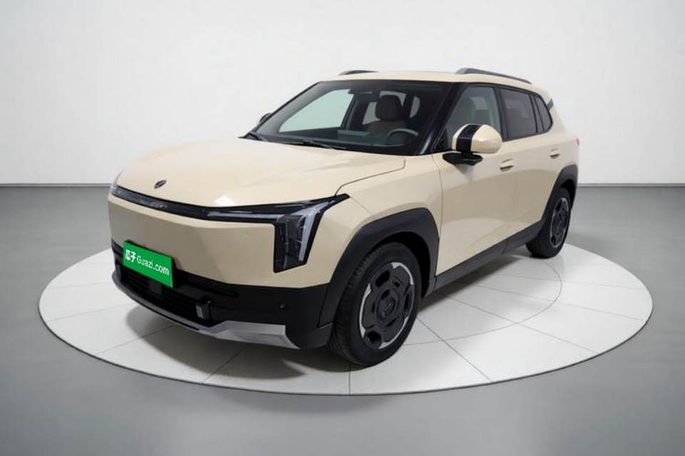 Dongfeng NAMMI 06 2025