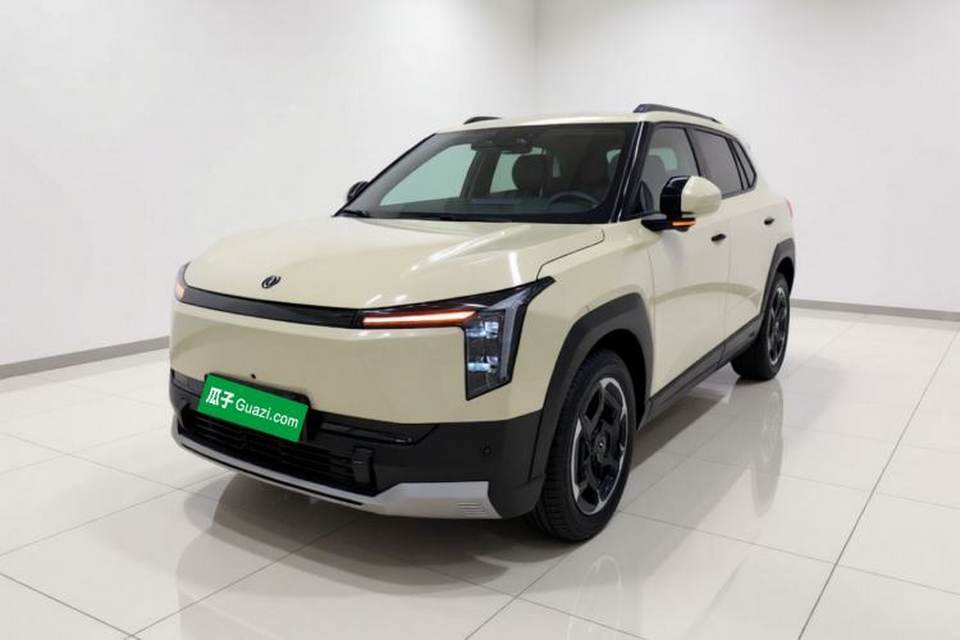 Dongfeng NAMMI 06 2025