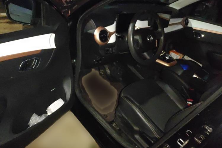 Used Dongfeng NAMMI BOX 2022 Chasing Wind Edition 331 km Standard Model Interior 3
