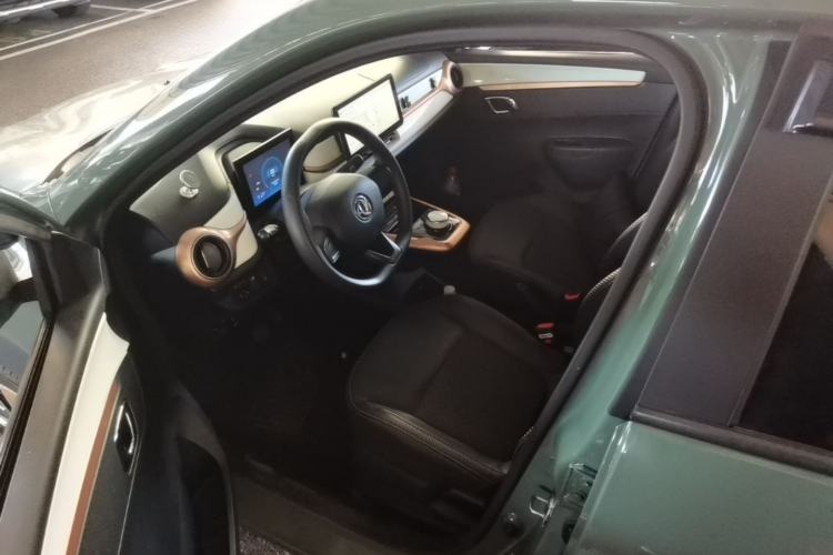 Used Dongfeng NAMMI BOX 2022 Champion Edition Light Wind Version 201KM Standard Model Left Front Seat