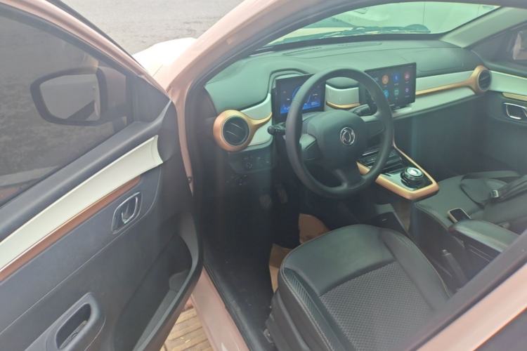 Used Dongfeng NAMMI BOX 2022 Light Wind Edition 201KM Lightning Model Driver Seat