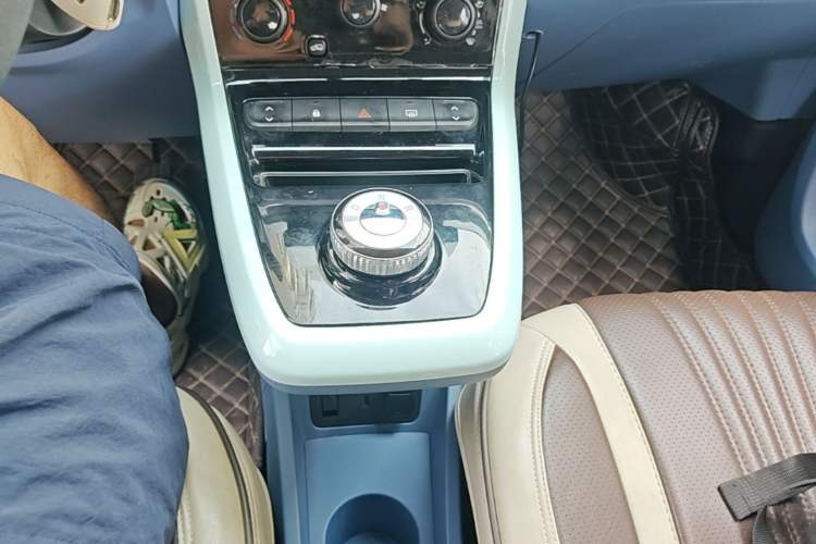 Used Dongfeng NAMMI BOX 2022 Chasing Wind Edition 331 km Standard Model Gear Lever