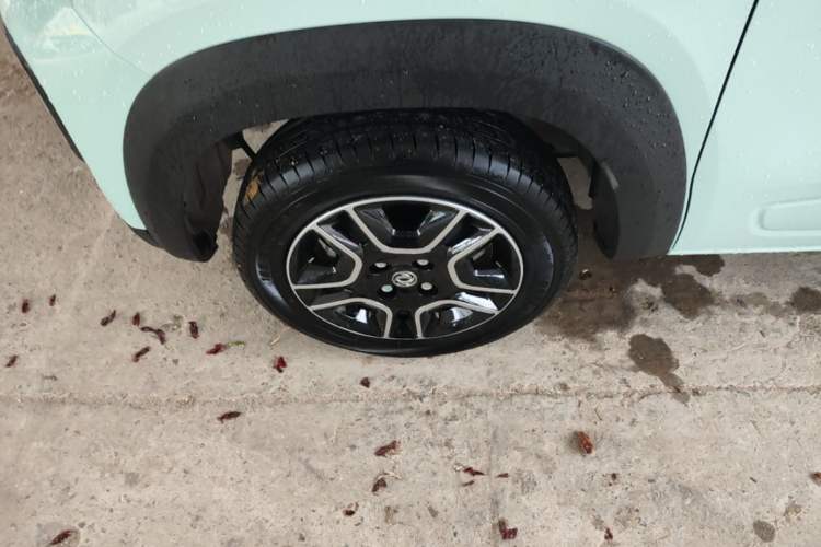 Used Dongfeng NAMMI BOX 2022 Chasing Wind Edition 331 km Standard Model Exterior 4