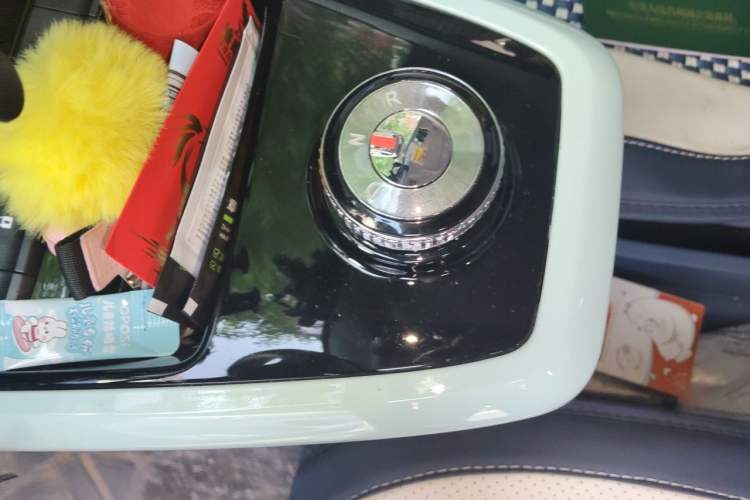Used Dongfeng NAMMI BOX 2022 Chasing Wind Edition 351 km Advanced Model Gear Lever