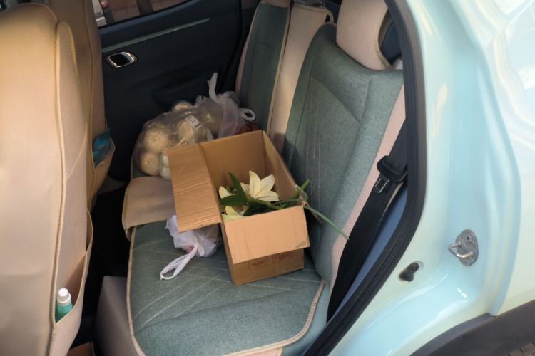 Used Dongfeng NAMMI BOX 2022 Chasing Wind Edition 331KM Advanced Model Left Rear Seat