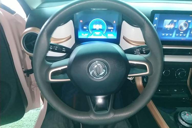 Used Dongfeng NAMMI BOX 2022 Chasing Wind Edition 331KM Advanced Model Steering Wheel