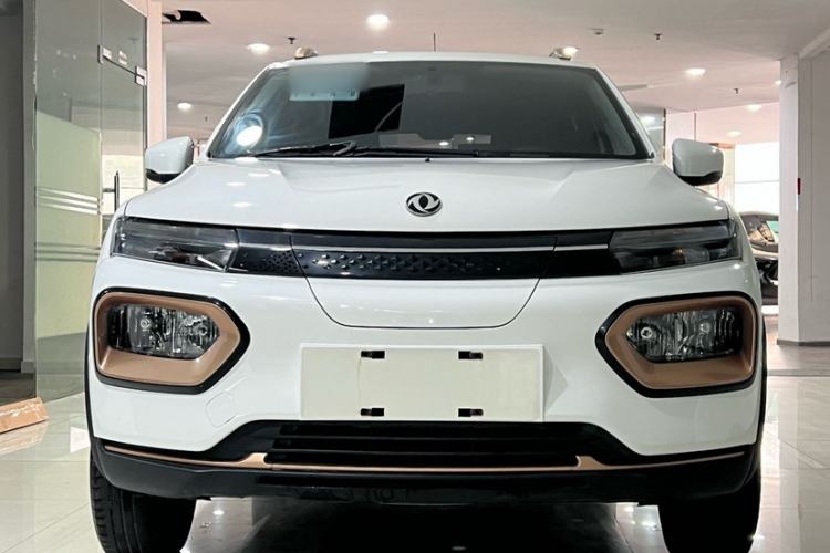 Used Dongfeng NAMMI BOX 2022 Chasing Wind Edition 331KM Advanced Model Exterior 1